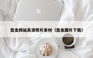 西双版纳昆虫网站高清照片素材（昆虫图片下载）